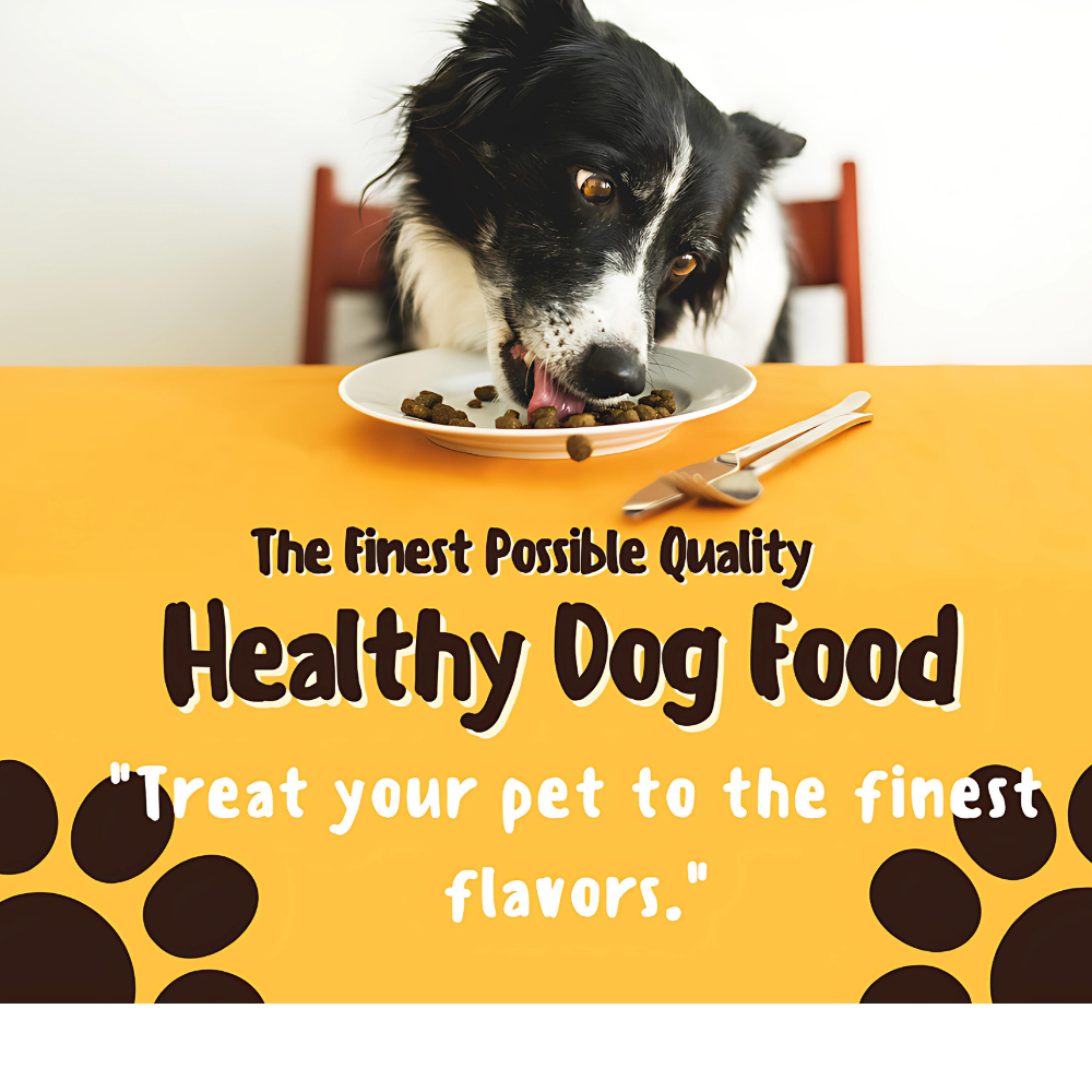 Dog Food for Maximum Nutrition