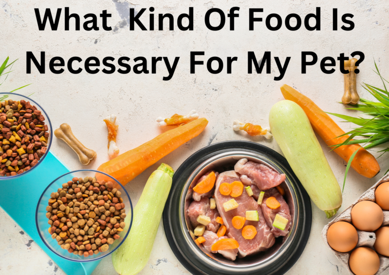 What kind of food is necessary for my pet?